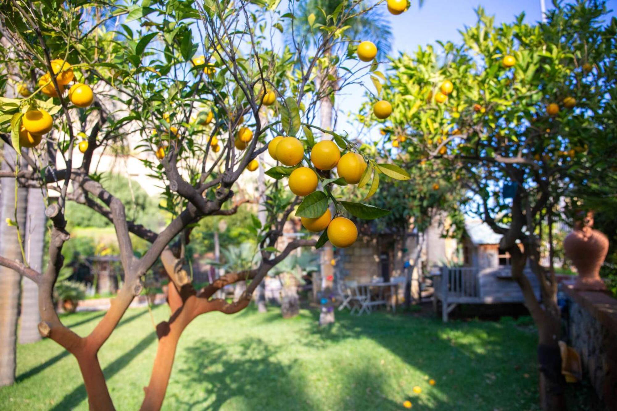 Villa Caterina - Solemar Sicilia Cefalù Zewnętrze zdjęcie